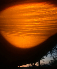 ������Ұ��