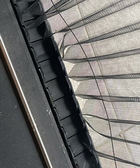 全屋都装了纱窗,还是有蚊子,终于找到原因了