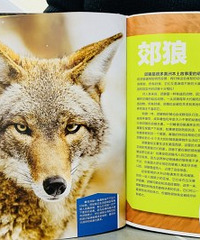 百科书就看这本,超过瘾