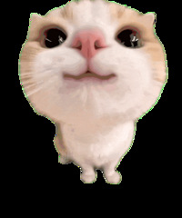 ֵƴ߽B2ƿ79˹ʿڿ329