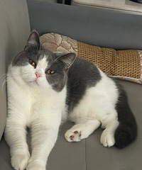 ����˵�����Ե����ѵ������Ͳ�Ҫ������֤������