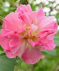 ����ʱ����������ܽ�ػ���