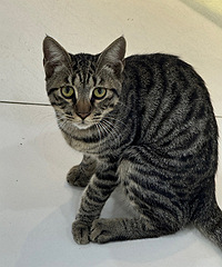 �����������䶼����������