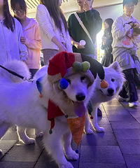 Ҳû�˸���˵��ʥ�ڿ�����ɡ��ٹ�ҹ�С�����