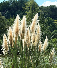 6ǧ�Ĺ���Ҫ����ĸ���úͺ��ӣ��Ҿ���ѧ��ܾ�