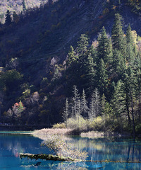 �ھ�կ������5�򲽣�˵˵�ܽ�����ľ���