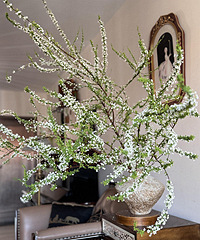 ����ѩ������19.9Ԫ2��