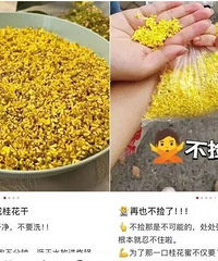 ��ԣ��������Ƕ��ǣ��ö����ڼ�