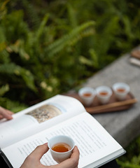 ���������Ϊ�Ҹ��ĸ���Ӧ����ʲô����