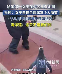 ŮС죿ҵӦΥУѺϲ飡