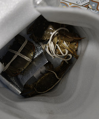 ɹɹ����ԵĴ��з���ܲ������ʵ��޷�����