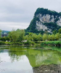 뼾ʣ--̤ʮ˫ӹȷ羰