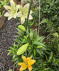 ��ٺϿ��ˣ��������ǵ���