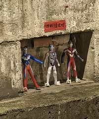 �������ֳԸ����翧