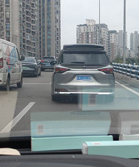 []ϰʲôôȥϰʱˣţ