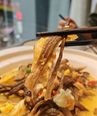 ������ʽ������вͣ������ܵ������в���ô����