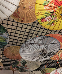 �Լ��ε���վ�����ʰ�.�й�ɡ��