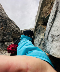 99������ӡ����Ž���Ҷ���