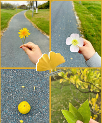 �����󣬹����˴�С����������������Ҫ��̫��Ǯ