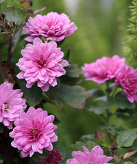 9.9���ǧͷ��տ��úú�