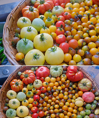 ���ֵĲˣ�����ڵĴ�ү����Χ��