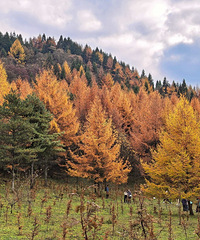 ഺûۼۣͳͳſ¡ᶼɽͽ