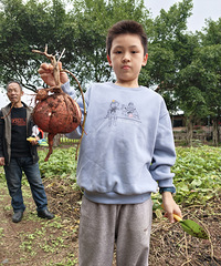 ��������ũ���֣�100���һ����ˣһ��