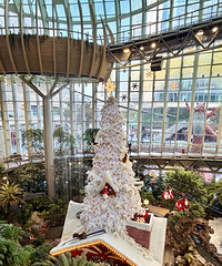 ȫ������Ŭ�����̳���˵�ǹ⻷�����˲�ͬ����