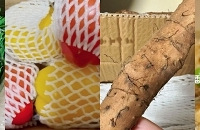 �̵������ƴϦϦ���һЩ�����߲ˣ���������