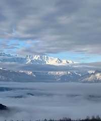 3��2�������Լ��١��������£��˾�798��������ס��+������Ʊ