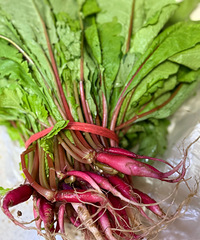 �����˵Ķ��죬�ٲ�����ڶ���