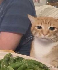 [����]�����������ڻ����ϣ�������ϴ�š���˵Ϊ�˸м�����֮��