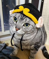 ϲ����װ�����ʱ��Ū����