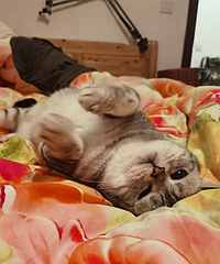 ��Ľ�ҵ������ñ��һ�����