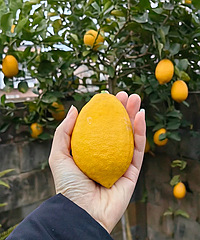 ժһ��������ȥ�����ϰ�