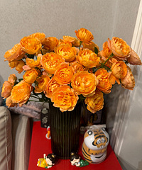 ���յĹ�֭����֮�����