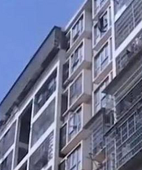 [����]�������ѷ�������300Ԫ�򡰷���֤���ͺ��ӽ���У