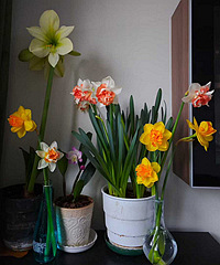 һ��Ҫ���ֵ���ˮ�ɾ޺ÿ�