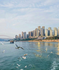 �����������������ǿ��Կ���Ÿ������Ÿ�ַ�����������