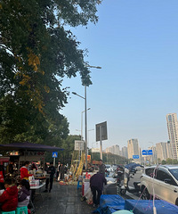 ���빫԰ͣ��·�Աߵĳ�ͳͳ����������