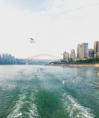 �����������������ǿ��Կ���Ÿ������Ÿ�ַ�����������