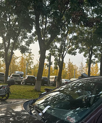 ���빫԰ͣ��·�Աߵĳ�ͳͳ����������