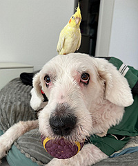 ɹɹ�ҵ�2��С�ɰ���