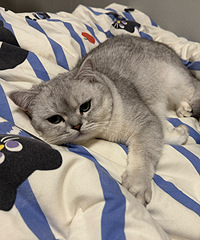 ���촲�ϳ���è����������