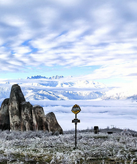 ��˵ĳ���������������»�ѹ�������Ų����������󡰹�����ƻ�