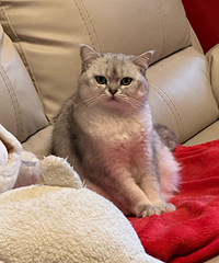 �Թ����������˿����ľ��