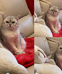 è�Թ�����������һȦ�������ľ��