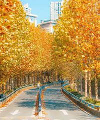 ������������ͩ���������ޣ��ؼ������ٳ���