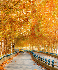 ������������ͩ���������ޣ��ؼ������ٳ���