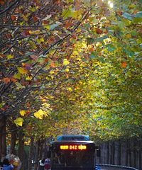 ������������20��+�������������죿���Ƕ��죿